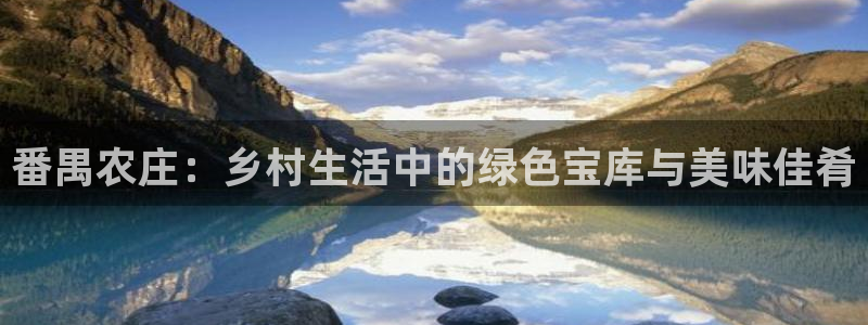 天辰娱乐44516