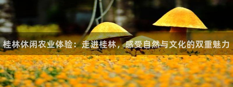 天辰娱乐网