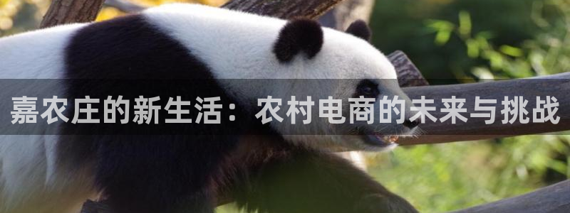 天辰娱乐平台安全吗