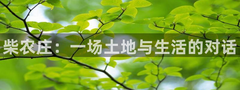 天辰娱乐总管年薪