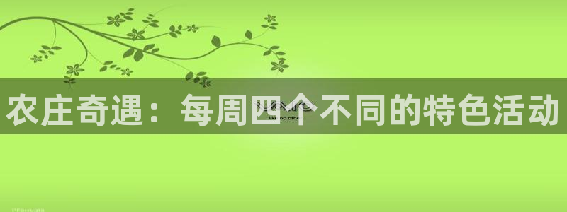 天辰娱乐 主管