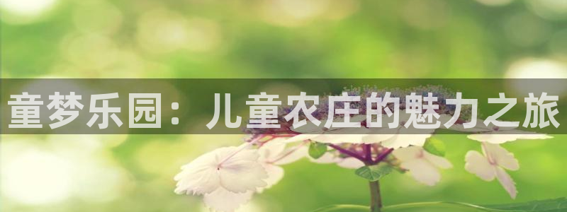 天辰娱乐维护
