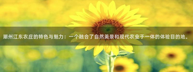 天辰娱乐怎么样