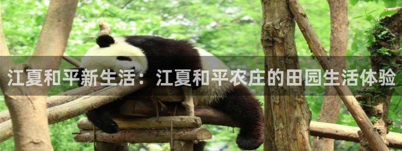 天辰娱乐游客