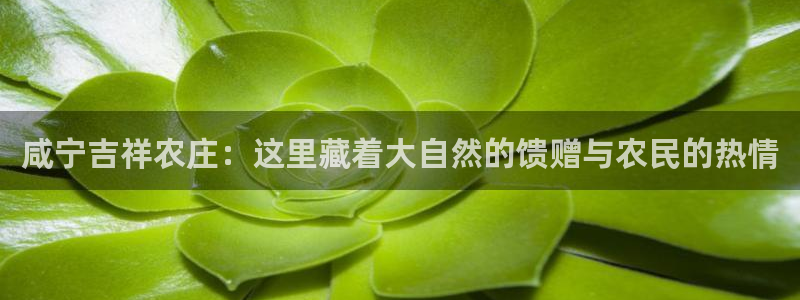 天辰娱乐平台登录账号