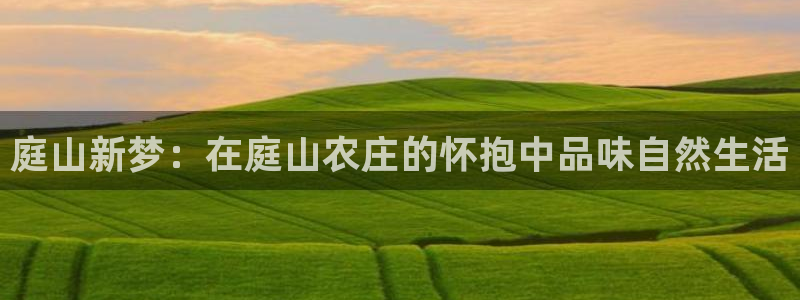天辰娱乐股东